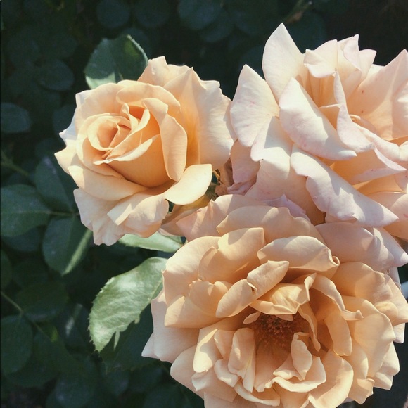 Offers welcome! - Picture 1 of 1